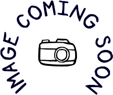David Shrigley 2027 Calendar - Brainbox Candy image 1